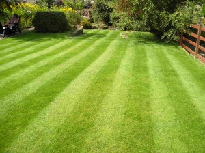 wakefield-lawncare-gardening-services